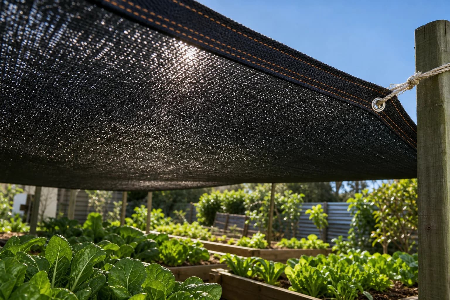 Garden Protection